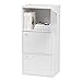 IRIS USA, Inc. USA 3 Tier Wood Storage Shelf with Door, White