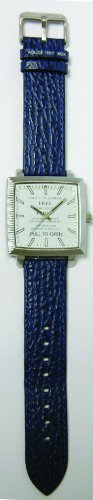 Doctor Who Tardis Adult Analog Watch, White & Blue