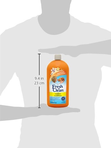 Fresh 'n Clean Fresh 'n Clean Scented Shampoo