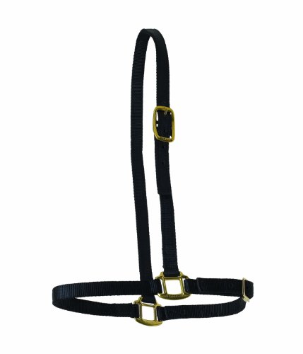 Perri’s Horse Nylon Grooming Halter, Black