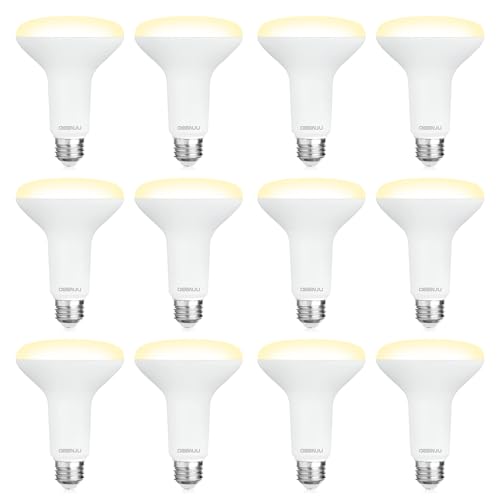 DEGNJU 12 Pack BR30 LED Recessed Light Bulb, Dimmable Indoor Flood Light