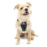 Kurgo Dog Harness | Pet Walking Harness | Small