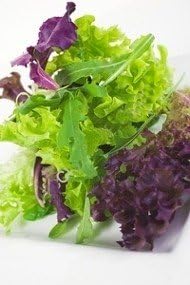 PREMIER SEEDS DIRECT - Lettuce Seeds - Gourmet LOOSELEAF Cutting Mix - 1500 Seeds, Brown