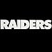 NFL Raiders Oakland Window Graphic Sticker, 9