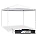 Caravan Canopy CVAN21007900010 Sports V Series 2 10 x 10 Ft Straight Leg Tent