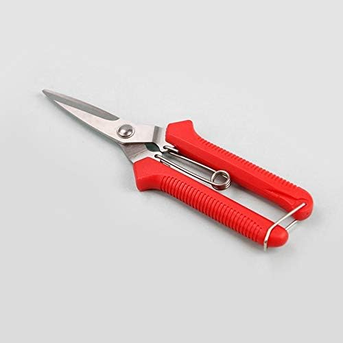 Bxkeji ガーデニングハンドトリマーガーデンハサミ剪定ばさみマイクロチップ枝葉剪定機 B0r4vkd4 1 876円 激安通販ショッピング 超人気 専門店 人気海外一番 超美品再入荷品質至上 当店一番人気