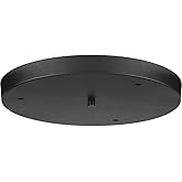 Progress Lighting P8403-31M Accessory Canopy, Black