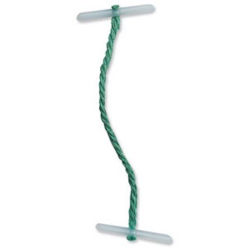 3XTreasury Tags Plastic-Ended 76mm Green [Pack of 100]