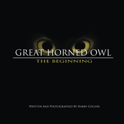 Great Horned Owl: The Beginning