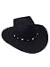 Silverado Men's Crushable Wool Felt Hat - Rattler - Black
