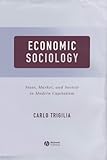 Economic Sociology: State, Market, and Society in Modern Capitalism, Carlo Trigilia, 0631225358