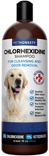 pyoderma dog shampoo