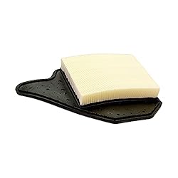 EcoGard XA6165 Premium Engine Air Filter Fits Dodge