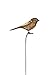 Ancient Graffiti AG-1307 Flamed Bird Garden Stake, 6.5 by 1 by 29