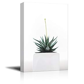 Single Cactus White Flower Pot Painting Artwork for Home Framed