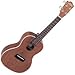 31AIjgv4 iL. SL75  การตั้งสาย Tuner ukulele ด้วย iPhone