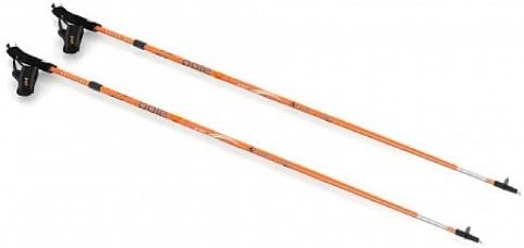 Skike One 4 You Complete 100% Carbon