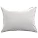 Aller-Ease Small Pillow Protector, Travel 14
