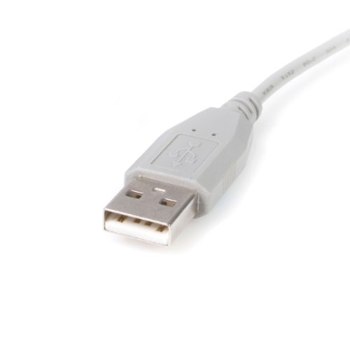 StarTech 1-Feet Mini USB 2.0 Cable - A to Mini B (USB2HABM1)