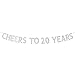 Cheers to 20 Years Banner - Happy 20th Birthday Party Bunting Sign - 20th Wedding Anniversary Decorations Supplies - Silver