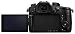 PANASONIC LUMIX DC-GH5 Body 4K Mirrorless Camera + PANASONIC H-HSA12035 F2.8 II Lens 12-35MM + 128GB Bundlethumb 4