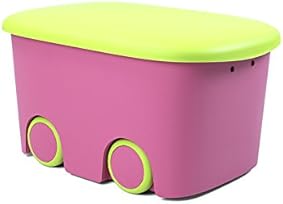Plastiken (HLKRQ) Kids Fresh - Caja de Almacenamiento, Rosa y Pistacho, 58x38x32 cm, 1 unidad 