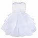 FEESHOW Baby Girls Ruffle Flower Christening Baptism Wedding Pageant Party Birthday Tutu Dress