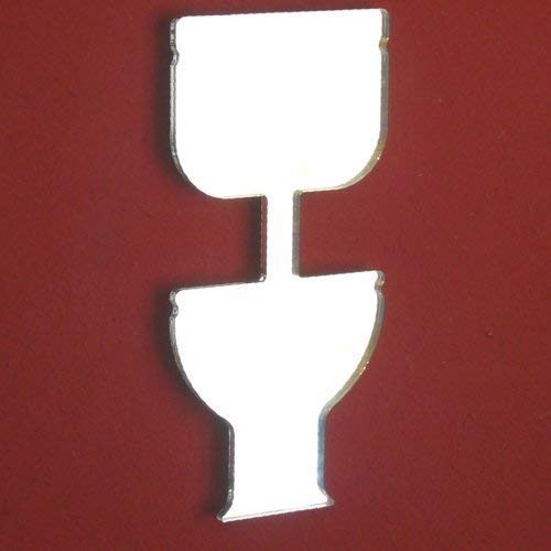 Mirrored Toilet Door Sign 35cm x 17cm