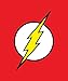 JPI DC Comics Justice League Superhero The Flash Lightning Logo Fleece Throw Blanket