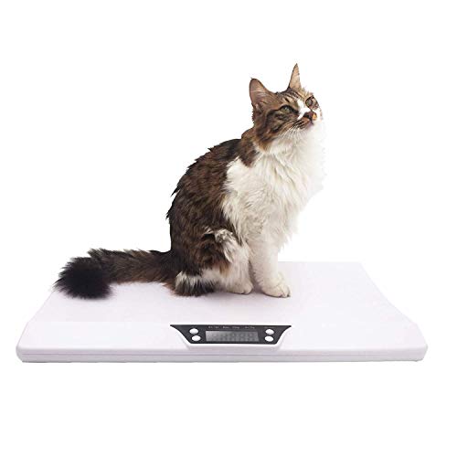Spritool Multi-Functional Baby and pet Scale (Suitable for Small and Medium-Sized Under 40LB Pet Puppy and Kitty Scale) (20KG (44 LB))