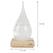 Eon Concepts Storm Glass Weather Predictor - Barometer Bottle with Stunning & Colorful LED Wood Base | Decorative Centerpiece for Home & Office | Birthday Friendship Novelty Unique Gift Idea (MEDIUM)
