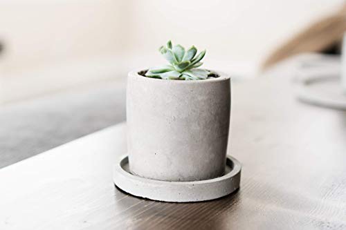 Concrete Planter Dish/Coaster / Trivet/Plate / Succulent/Indoor / Outdoor/Minimalist / Modern/Cactus / Small