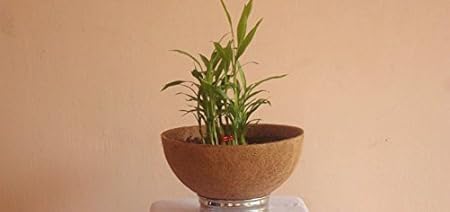 Coco Fiber Liner - Hanging Planter POTS - Coir Liner - Basket Liner 10 INCH - 6 Pieces