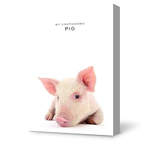 Funny Baby Pig Painting Wall Poster Decor for...