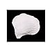 2000pc White Silk Rose Petals Wedding Flowers Favors