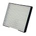 WIX Filters - 24689 Cabin Air Panel, Pack of 1
