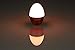 VINABTY Mini LED Flashlight Tumbler Table Lamp Nice Egg Shaped Handheld Night Light Gift (Red)