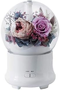 Aroma Humidifier Essential Oil Diffusers with LED Light USB Micron Fog Calendar 1 Hour Mini Everlasting Flower Shape Humidifier For Holiday Anniversary 100ML