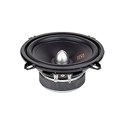 Alphasonik 1 Pair of NS500C Neuron Series
