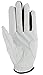 easyglove Flag_USA-2 Men's Golf Glove (White)