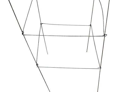 Galvanized Square Folding Tomato Cage Plant Support Trellis Tower 12 inch by 42 inch, Pack of 10 (10, Galvanized)