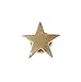 WizardPins Gold Star Lapel Pin- 1 Piece
