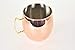 BonBon Jumbo 192 Oz. Moscow Mule Copper Drinking Mug …
