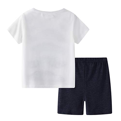 BIBNice Little Boys Summer Outfits Short Sleeve Playwear Sets Cotton Car Size 3