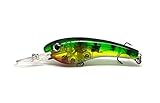 Flashing LED Flash Light Fishing Lure Bait Deepwater Crank Bass Pike NEW (A)