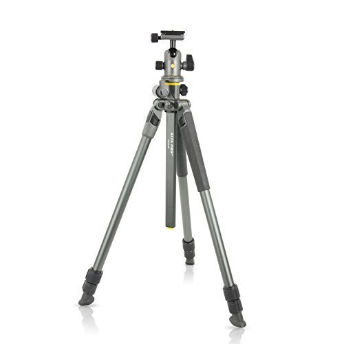Vanguard Alta Pro 2+ 263AB 100 Aluminum Tripod with Alta BH-100 Ball Head and Multi-Angle Center Column