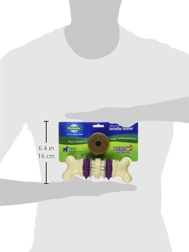 PetSafe Busy Buddy Bristle Bone Dog Toy, Medium