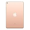 2019-Apple-iPad-mini-79-inch-WiFi-256GB-Gold-5th-Generation Apple 2019 iPad mini (7.9-inch, Wi‑Fi, 64GB) - Gold (5th Generation)