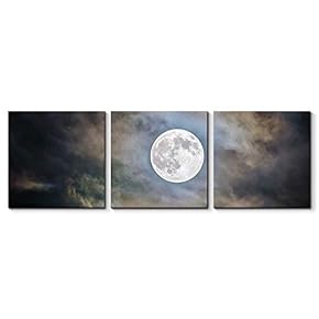 NWT Canvas Wall Art Beautiful Moon Painting Artwork...