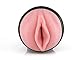 Fleshlight Stamina Training Unit | in A Discreet Black Case